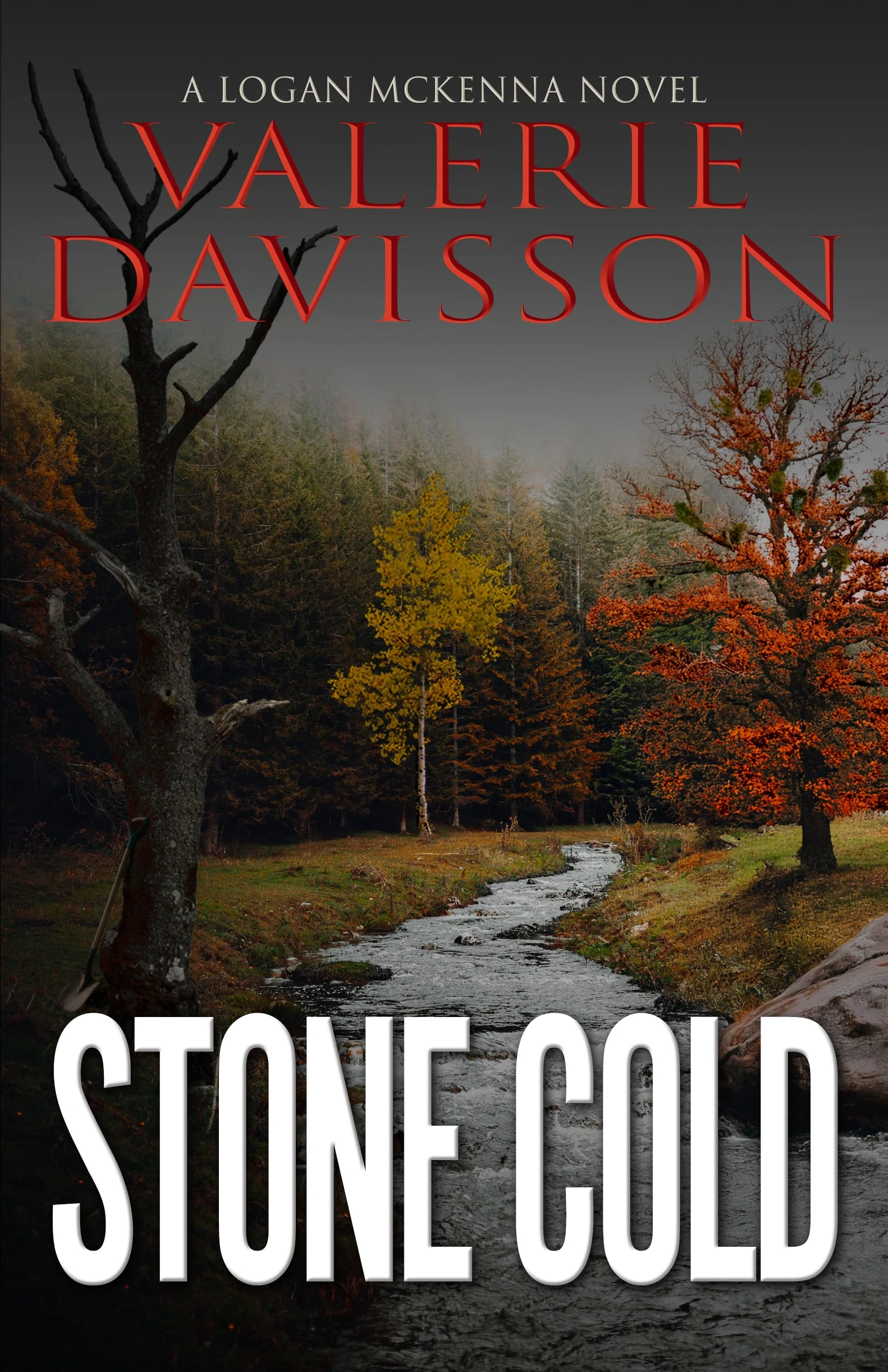 STONE COLD: A Gripping Pacific Northwest Female Sleuth Crime Thriller (Logan McKenna Mystery Series Book 11)