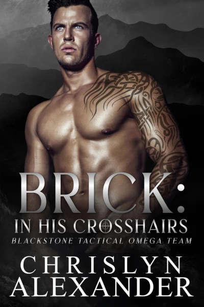 Brick: In His Crosshairs