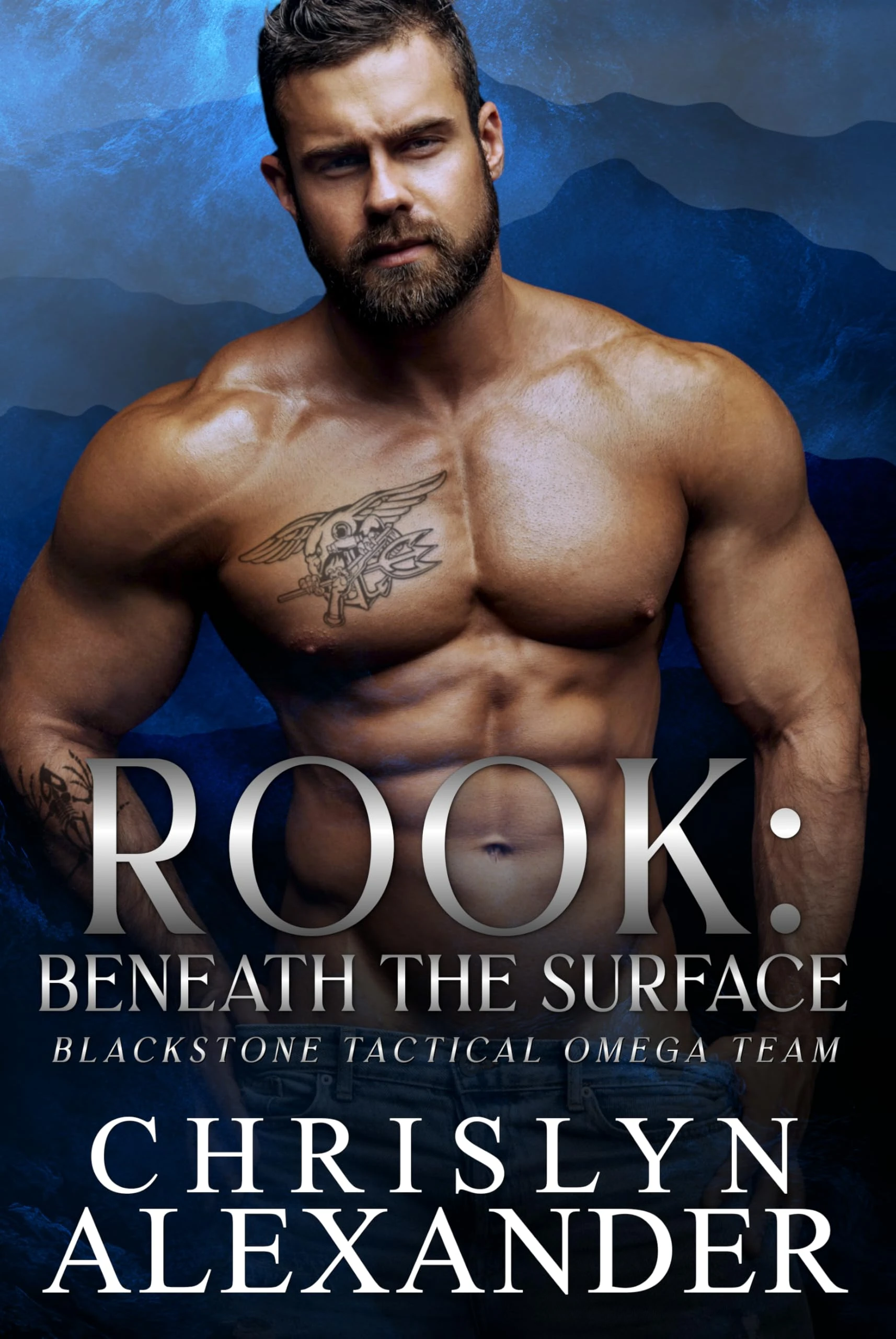 ROOK: Beneath The Surface (Blackstone Tactical Omega Team Book 2)