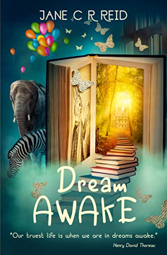 Dream Awake: The novel that will challenge your perception of reality