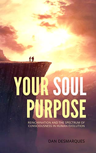 Your Soul Purpose: Reincarnation and the Spectrum of Consciousness in Human Evolution