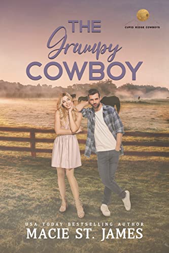 The Grumpy Cowboy - CraveBooks