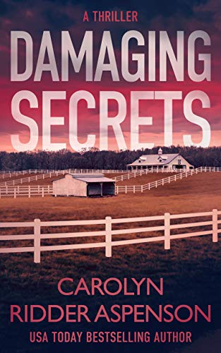 Damaging Secrets - CraveBooks
