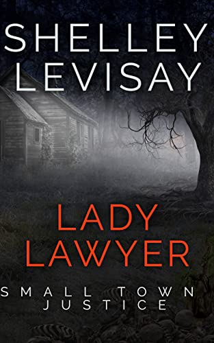 Lady Lawyer: Small Town Justice - CraveBooks