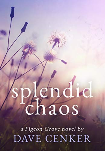 Splendid Chaos (Pigeon Grove Series Book 3) - CraveBooks