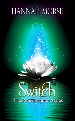 Switch: The Reincarnation Series: Book 3 - CraveBooks