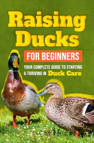 Raising Ducks for Beginners