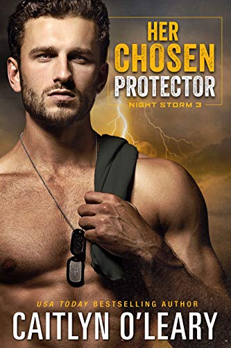 Her Chosen Protector: Navy SEAL Romance (Night Storm Book 3)