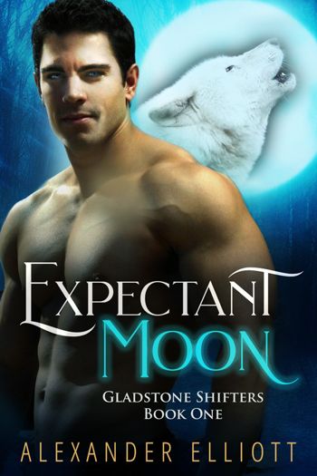 Expectant Moon - Crave Books
