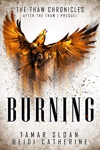 Burning - CraveBooks