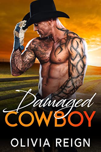 Damaged Cowboy: A Military, Single Dad, Brother's Best Friend Romance