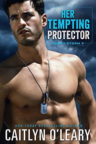 Her Tempting Protector: Navy SEAL Romance (Night Storm Book 2)