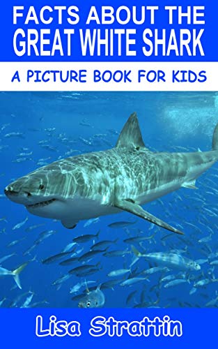 Facts About the Great White Shark - CraveBooks