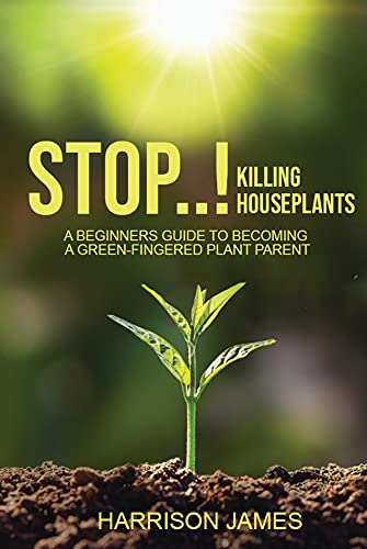 Stop Killing Houseplants: A beginners guide to becoming a green-fingered plant parent