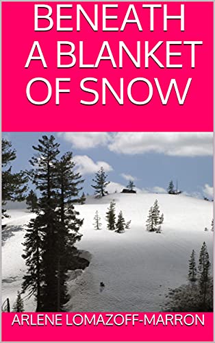 BENEATH A BLANKET OF SNOW: A Contemporary Novel of secrets, marriage, turmoil, friendship, forgiveness, and redemption