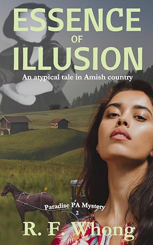 Essence of Illusion - CraveBooks