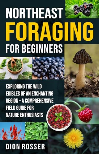 Northeast Foraging for Beginners