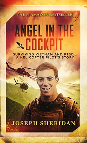 Angel In The Cockpit - CraveBooks