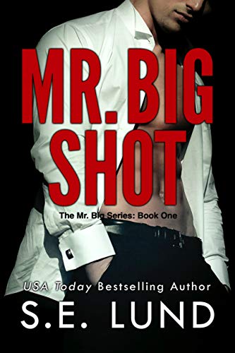 Mr. Big Shot - CraveBooks