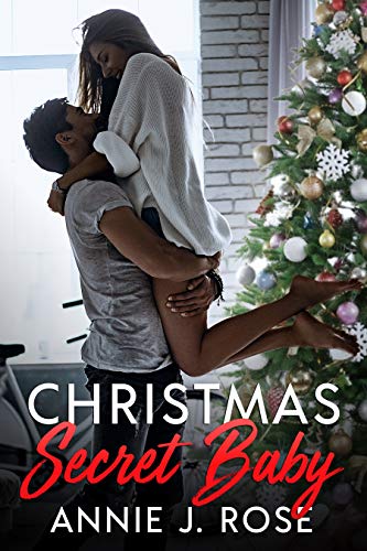 Christmas Secret Baby (Holiday Romances Book 4)