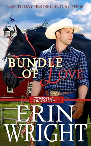 Bundle of Love: An Office Contemporary Western Romance