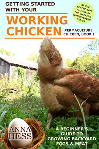 Getting Started With Your Working Chicken - CraveBooks