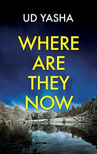 Where Are They Now: An addictive serial killer thriller set in India (The Siya Rajput Crime Thrillers Book 1)