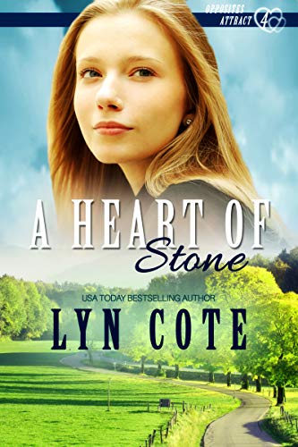 A Heart of Stone - CraveBooks