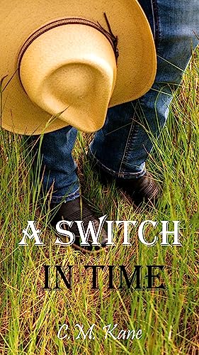 A Switch in Time - CraveBooks
