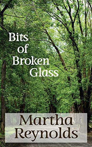Bits of Broken Glass - CraveBooks