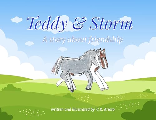 Teddy & Storm: A story about friendship