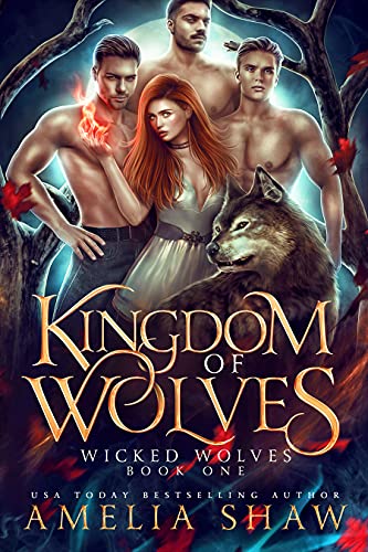 Kingdom of Wolves: A paranormal reverse harem romance (Wicked Wolves Book 1)