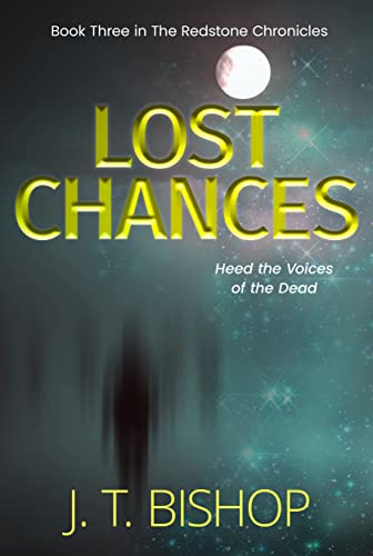 Lost Chance - CraveBooks