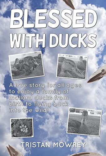 Blessed with Ducks (2ND Edition): A story for all ages, enjoying a family of mallard ducks from birth to flying back into the wild!