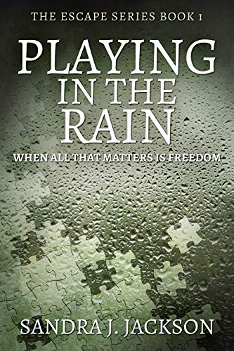 Playing In The Rain - CraveBooks