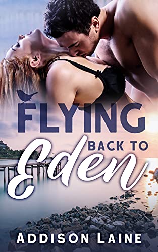 Flying Back To Eden (The Novak Brothers Book 1)
