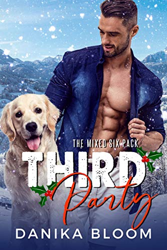 Third Party: A second chance, holiday romance