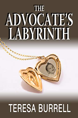 The Advocate's Labyrinth - CraveBooks