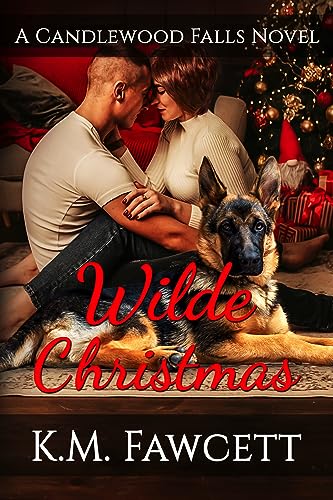 Wilde Christmas: A Candlewood Falls Novel (Small T... - CraveBooks