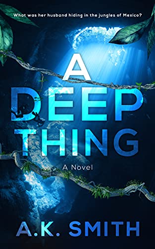 A Deep Thing: A gripping and twisty beach read fil... - CraveBooks