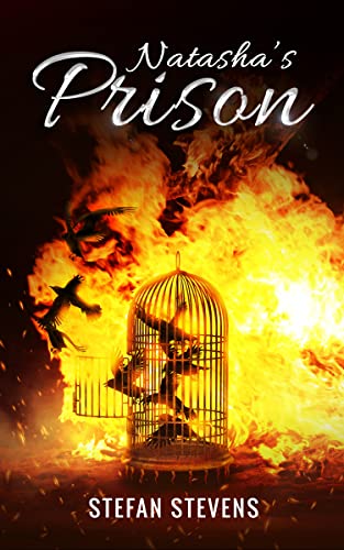 Natasha's Prison: Healing From Your Prison I Never... - CraveBooks