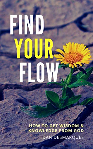 Find Your Flow: How to Get Wisdom and Knowledge from God