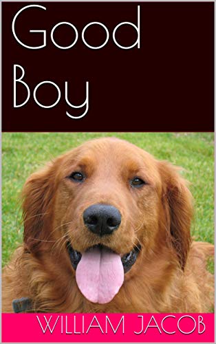 Good Boy - CraveBooks