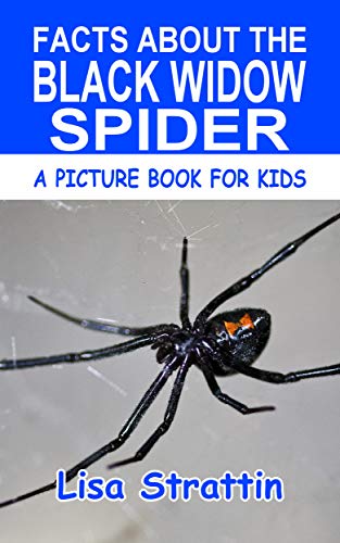 Facts About the Black Widow Spider - CraveBooks
