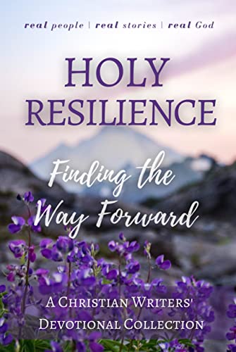 Holy Resilience: Finding the Way Forward (Christian Devotional Collaborations)