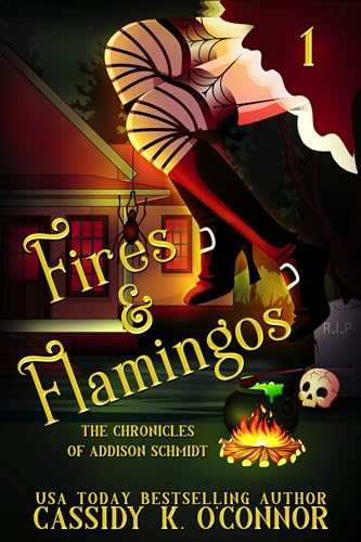 Fires & Flamingos: A Small town Paranormal Women's Fiction story (The chronicles of Addison Schmidt Book 1)