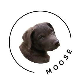 Moose (Author)
