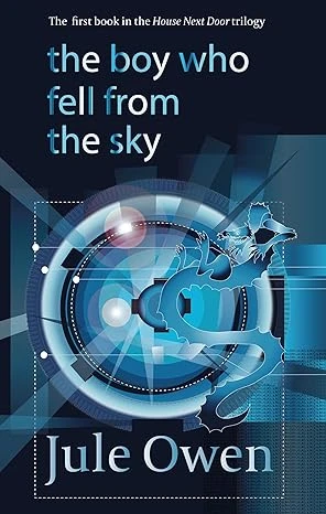 The Boy Who Fell from the Sky - CraveBooks