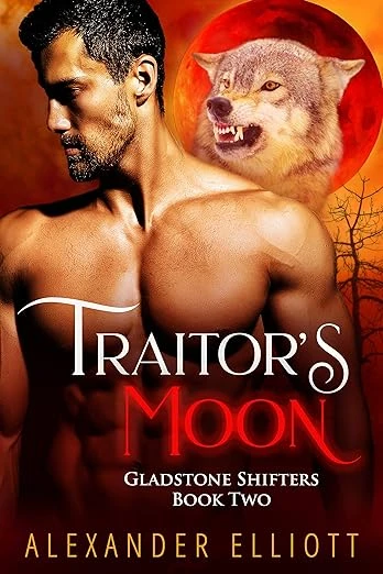 Traitor's Moon - CraveBooks