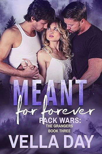 Meant for forever - CraveBooks
